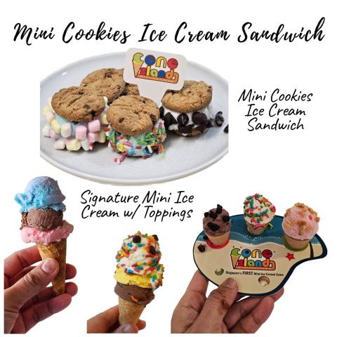 Mini Chocolate Chip Cookies Ice Cream Sandwich & Mini Cone Package